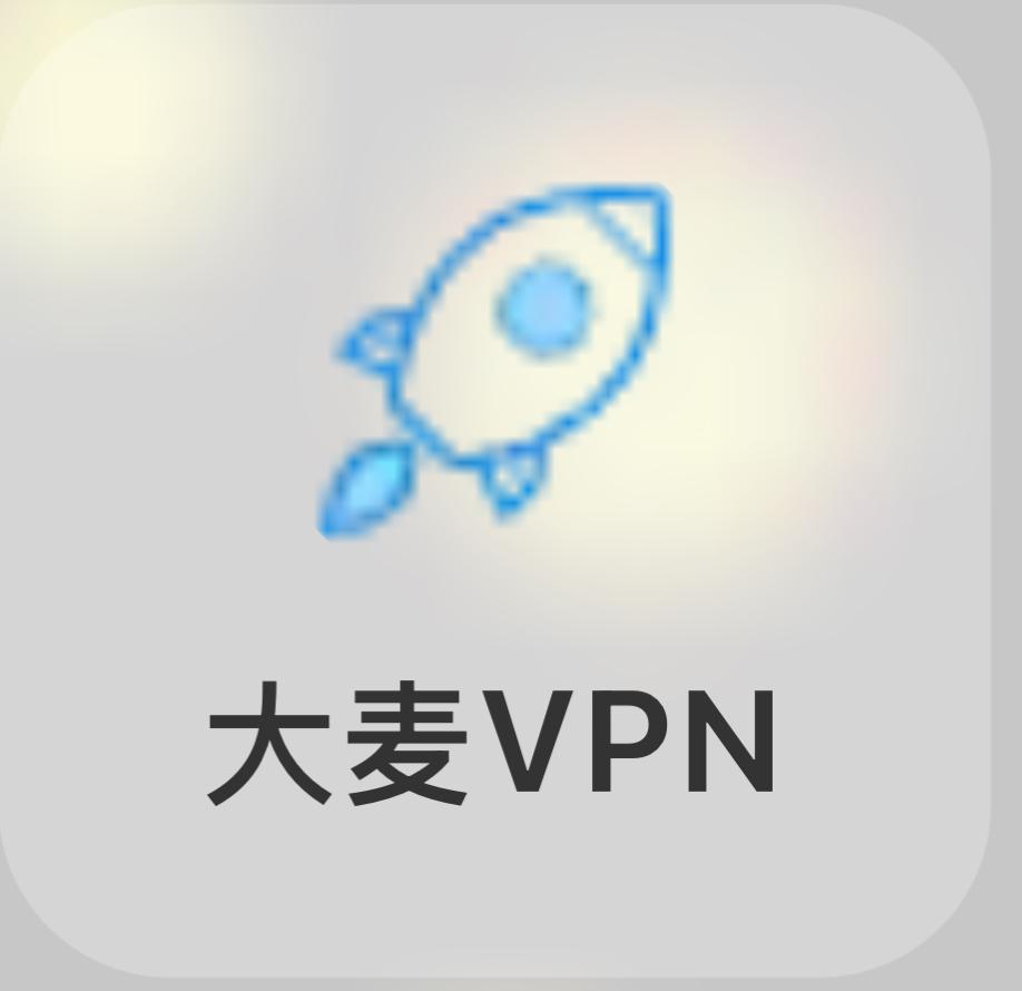 大麦VPN